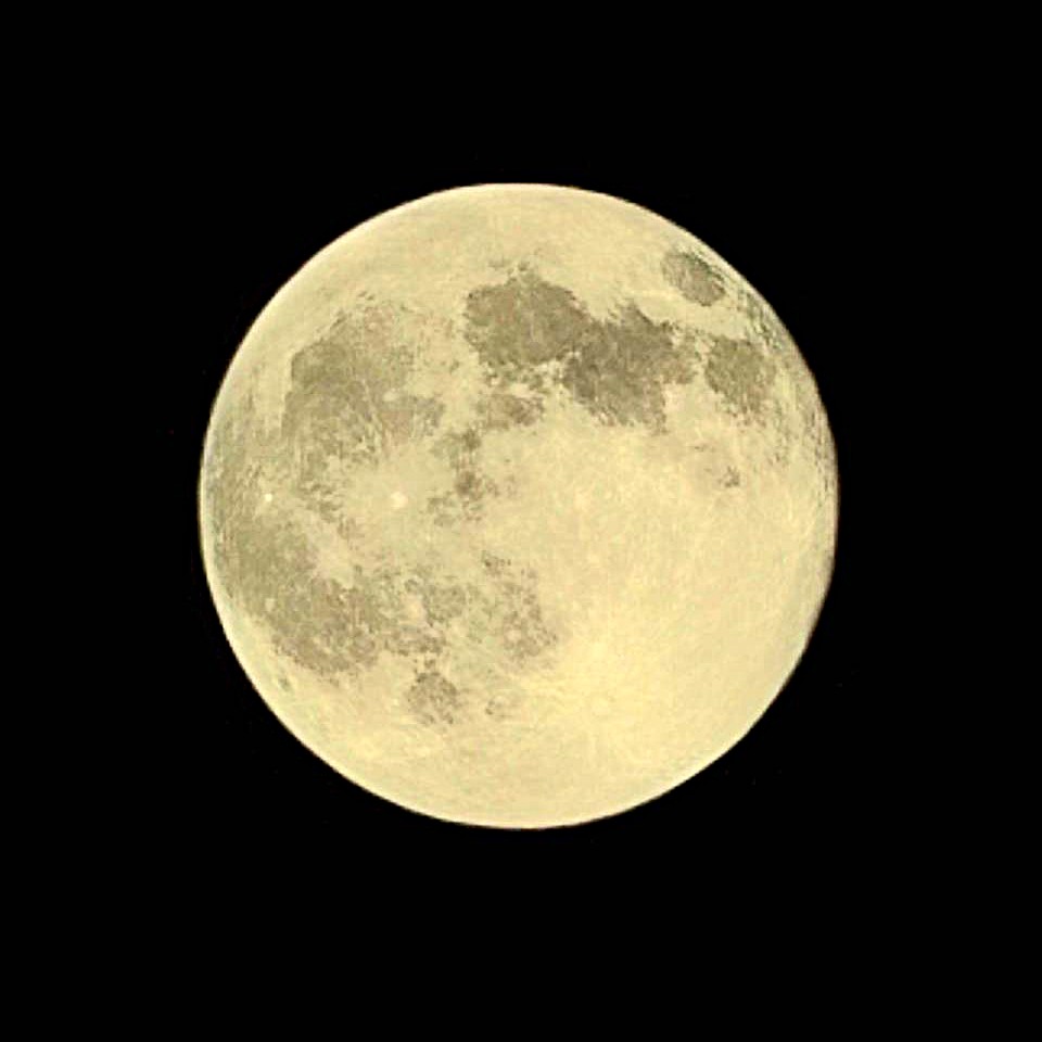 🌕